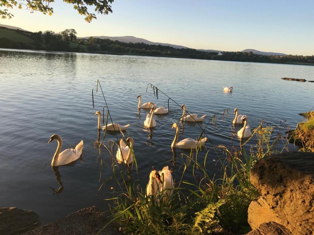 Lakeside Lookout Bantry Cork Bagian luar foto
