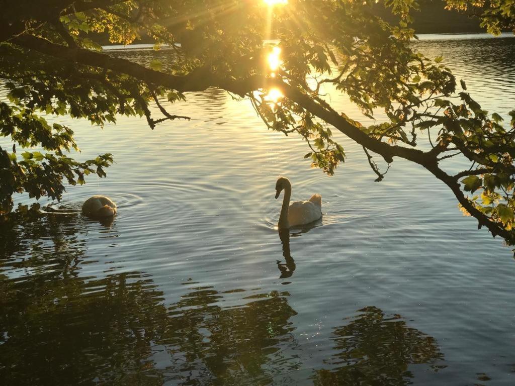 Lakeside Lookout Bantry Cork Bagian luar foto