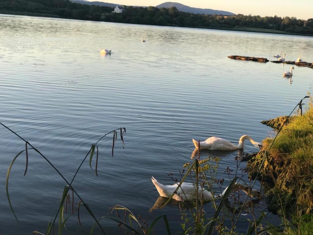 Lakeside Lookout Bantry Cork Bagian luar foto